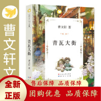 青瓦大街曹文轩文集品读经典感悟人生值得每个家庭收藏一生的纯美文字送给每个孩子永不褪色的爱与感动[b]