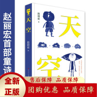 天空精装童年河作者赵丽宏2020专为孩子创作的童诗集唤醒好奇和热爱激发想象和思考开启博大纯真的童心世界[b]
