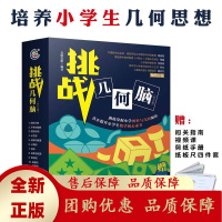 挑战几何脑全10册6-12岁计数图形规律与推理提升孩子解决复杂问题[b]