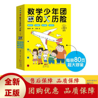 数学少年团的X历险全4册冰雪城堡的X危机女巫的X谜案龙鱼的X任务[b]