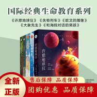 国际经典生命教育系列全5册7-12岁和海鸥对话的男孩许愿地球仪[b]