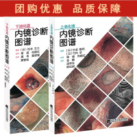 B[正版]2本 上下消化道内镜诊断图谱 谢威 祝建红 消化道内镜操作注意事项中初级内镜医生参考书外科辽宁科学技术出版社9