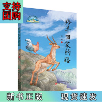 B[正版]大自然原创儿童文学获奖书系 羚羊回家的路