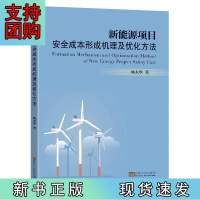 B[正版]新能源项目安全成本形成机理及优化方法