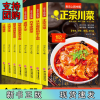 B[正版]舌尖上的中国 简单易做家常菜 家常主食 拌凉菜 火锅大全 卤味大全 过瘾湘菜 正宗川菜 乡土菜