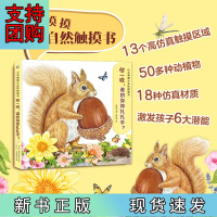 B[正版]小手摸摸大自然触摸书·碰一碰,谁的身体扎扎手?