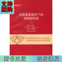B[正版]全球信息经济下的美国版权法(全两册)(威科法律译丛)