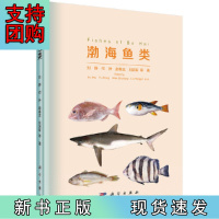 B[正版]渤海鱼类