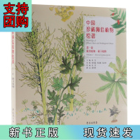 B[正版] 中国珍稀濒危植物绘谱 .第一卷,蕨类植物、裸子植物 :大众普及本