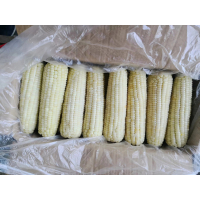 甜糯白玉米A(佳糯)40根