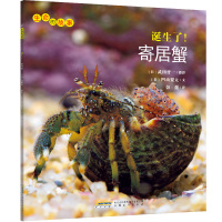 B生命的故事:诞生了!寄居蟹