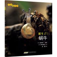 B生命的故事:诞生了!蜗牛