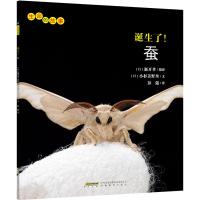 B生命的故事:诞生了!蚕