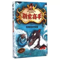 B驯龙高手7:驾驭龙的风暴