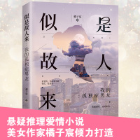 B 似是故人来:我的孤独症男友 丁墨式都市悬爱故事 都市情感言情小说书籍 悬疑推理爱情小说书 广东人民出版社