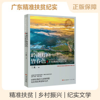B 岭南万户皆春色 广东精准扶贫纪实 丁燕 广东人民出版社农业扶贫水利扶贫纪实文学文化书籍书