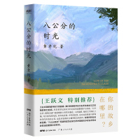 B八公分的时光 黄孝纪著 中国近代随笔文学 社文学 散文 中国近代随笔 广东人民出版 当代南方乡村生态 社会变迁王跃文特
