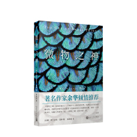 B微物之神(人文社新版) 阿兰达蒂洛伊以双胞胎的悲惨人生诉说印度的苦难悲剧 英国布克奖美国国家图书奖获奖作品