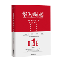 B华为崛起 王民盛 著 任正非管理 被美国打压 商业史传