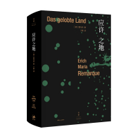 B应许之地 埃里希 玛丽亚 雷马克?著 外国文学小说书籍