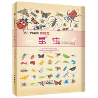 B法兰西手绘博物志-昆虫(精)