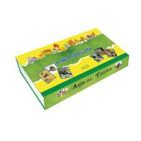 B动物故事-丛林世界的动物(精)