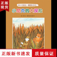 B小尼克的大探险 插画大师弗夫尤泰斯塔经典绘本系列趣味的儿童图画书绘本阅读启蒙儿童故事会绘本阅读启蒙宝宝睡前启蒙故事绘本