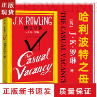 B偶发空缺中文版又名临时空缺 哈利波特作者JK罗琳首度为成人读者创作的小说 外国文学小说书排行榜