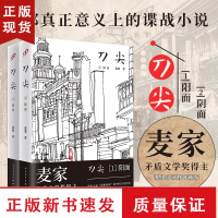 B刀尖套装2册 阴面+阳面精装版 麦家长篇谍战小说张译主演电影热映茅盾文学奖得主麦家的书人生海海解密风声民国军事侦探小说