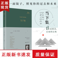 B当下集 巴别塔诗典系列精装本 美国诗人普利策诗歌奖作者加里斯奈德诗歌集许淑芳译人民文学出版社经典诗歌文学书籍