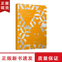 B黄鸟 21世纪新译丛 精装版 凯文鲍尔斯著 追风筝的人一样感人的中东故事外国文学小说书籍比肩西线无战事第二十二