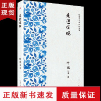 B走进夜晚 叶兆言长篇小说系列 悬疑侦探犯罪小说 中国现代文学作品选叶兆言的书书排行榜