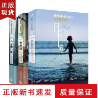 B斯蒂芬金经典作品三部曲(尸骨袋+布莱泽+宠物公墓)斯蒂芬金回归惊悚路线的精彩之作悬疑小说精粹推理悬疑惊悚小说外国侦探小