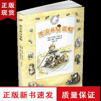 B银色独角兽系列:漂流的贝雷帽 林格伦儿童文学