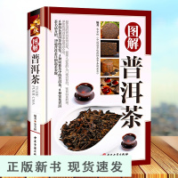 B[铜版纸]精装 图解普洱茶茶文化书茶艺大全书籍书 识茶品茶泡茶图典中国茶道文化书籍 普洱茶书籍书籍书 茶文化百科图解书