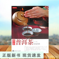 B 普洱茶 茶叶百科全书茶文化大全知识入门茶艺茶道茶经类书籍识茶泡茶品茶