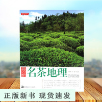 B 名茶地理 茶叶百科全书茶文化大全知识入门茶艺茶道茶经类书籍识茶泡茶品茶