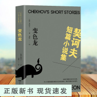 B契诃夫短篇小说选 契科夫集文集套中人变色龙 经典世界文学名著小说课外物阅读图书青少版适合九年级初中生