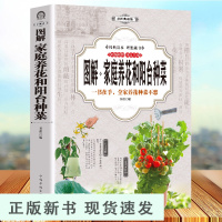 B[厚436页]图解家庭养花和阳台种菜全书 家庭养花大全室内养花书籍家庭阳台养花盆景大全 多肉种植图鉴新手盆栽花卉蔬菜种