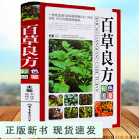 B百草良方 彩色图鉴图解中草药中药材彩色图谱附偏方药方 中药材药方养生中医养生保健本草纲目中医学入门图书籍书