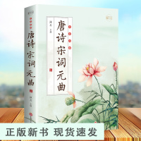 B中华古诗词大全唐诗宋词元曲全彩初高中生古诗词详细图解中国古代诗词鉴赏赏析 青少年无障碍阅读中国文学古典浪漫诗词