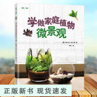 B学做家庭植物微景观 美植·美家 养花的书花园设计装修教程花卉植物绿化植盆栽造景设计私家庭院室内园艺素材园林景观书籍