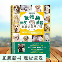 B宠物狗常见问题家庭处置及护理 狗狗的日常护理与驯养 养狗的书籍泰迪贵妇比熊犬训狗教程书养狗训狗书驯狗书教程训练养狗入门