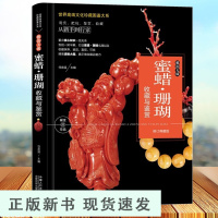 B蜜蜡珊瑚收藏与鉴赏书籍观赏把玩鉴赏收藏从新手到行家介绍蜜蜡知识蜜蜡鉴别价值文化艺术书籍 珠宝玉石饰品手串把玩基础知识书