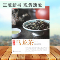 B 乌龙茶 茶叶百科全书茶文化大全知识入门茶艺茶道茶经类书籍识茶泡茶品茶