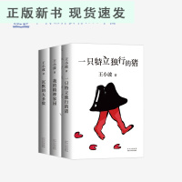 B[十点读书首发 ]王小波杂文代表作(2021版)全3册 一只特立独行的猪+我的精神家园+沉默的大多数