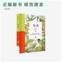 B纸上景观 鸟类 马特梅里特著 经典馆藏手绘标本插图 获奖作家所著 53张经典馆藏手绘标本插图 绘图优雅 装帧精致