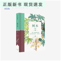 B纸上景观 树木 史蒂夫马什 著 成人系列 经典馆藏手绘标本插图 53张 经典馆藏手绘标本插图 书籍