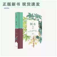 B纸上景观 树木 史蒂夫马什 著 成人系列 经典馆藏手绘标本插图 53张 经典馆藏手绘标本插图 书籍