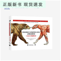 B国际插画大师惠特拉奇的动物画教程:艺用生物解剖绘画动物绘本 生物设计艺术设计插画创意绘画